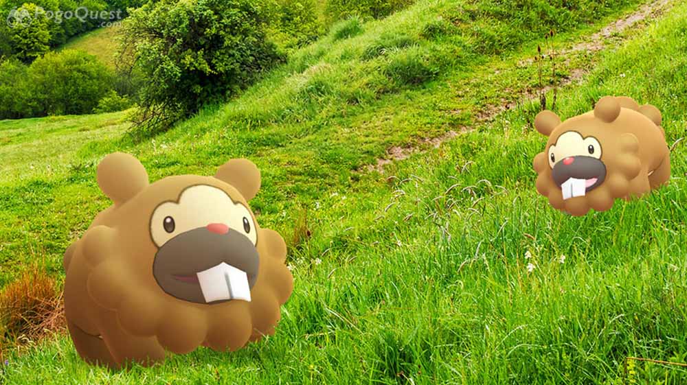 spotlight hour Bidoof hora destacada