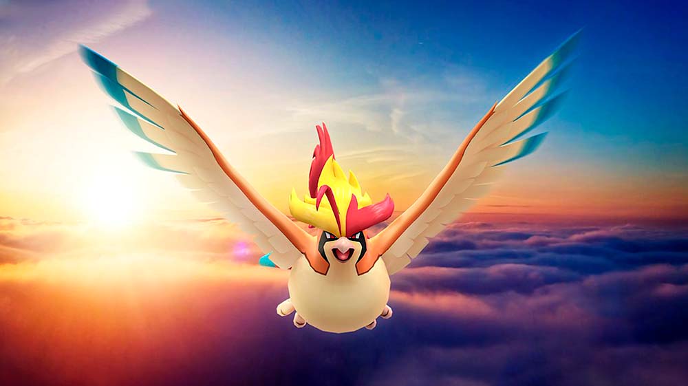 mega raid Pidgeot