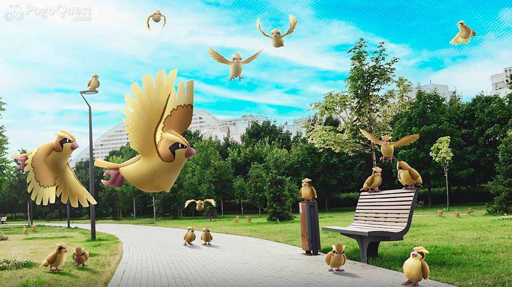 spotlight hour Pidgey hora destacada