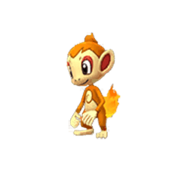 chimchar