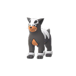 Houndour