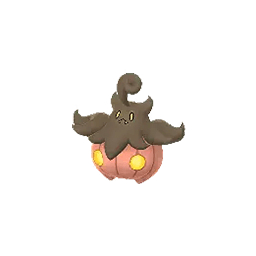 pumpkaboo average normal medium