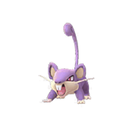 rattata