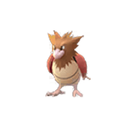 Spearow