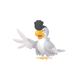 Squawkabilly White