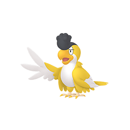 Squawkabilly yellow