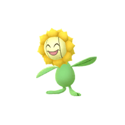 Sunflora