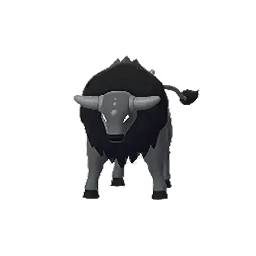 paldean tauros combat 