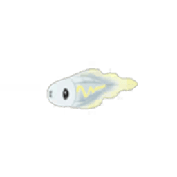 tynamo