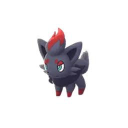 zorua