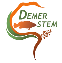 DEMERSTEM project