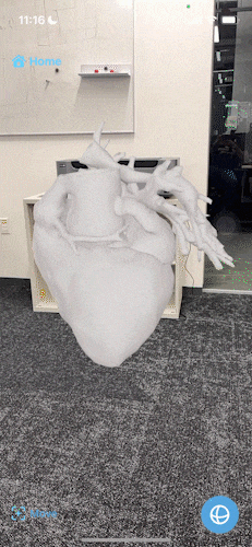 CardiacAR Omni-directional Slicing