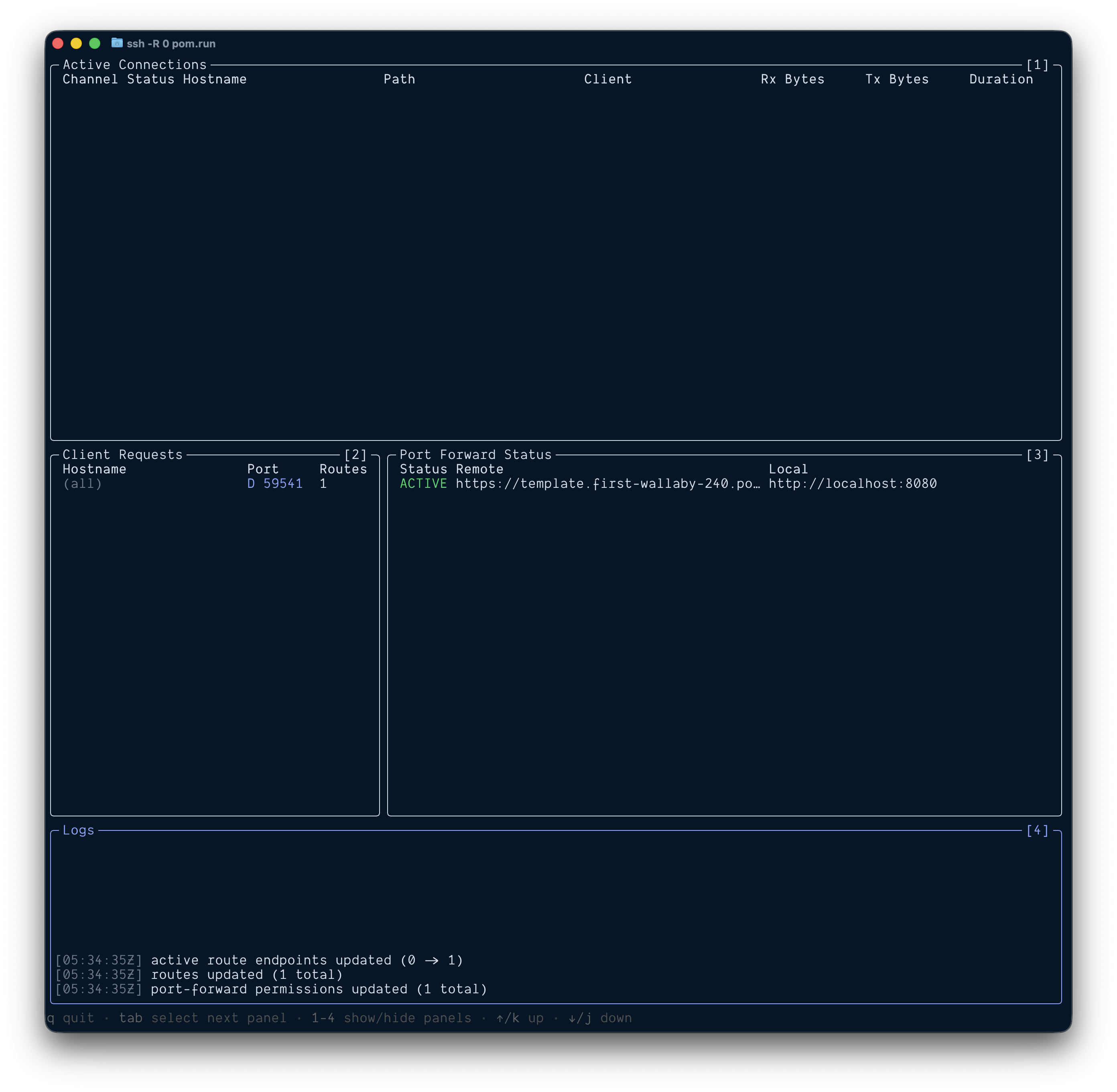 Pomerium SSH Tunnel UI
