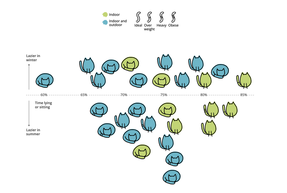 Original visualization