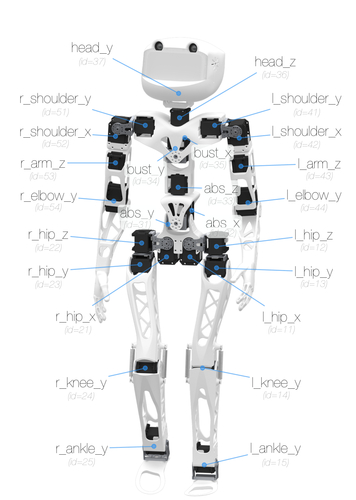 Poppy Humanoid photo 4