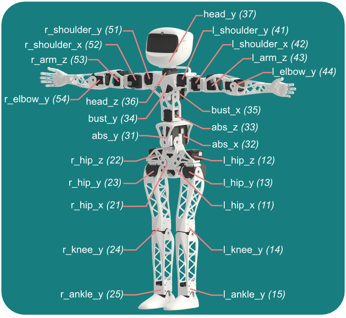 The 25-motor layout