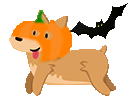 halloween_chocolatechip