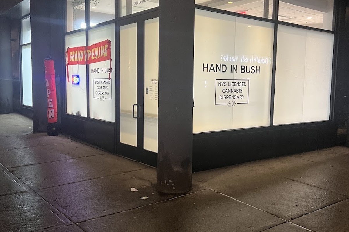 Hand in Bush storefront
