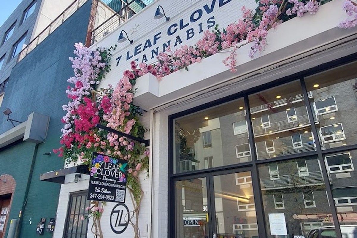 7 Leaf Clover Cannabis | storefront