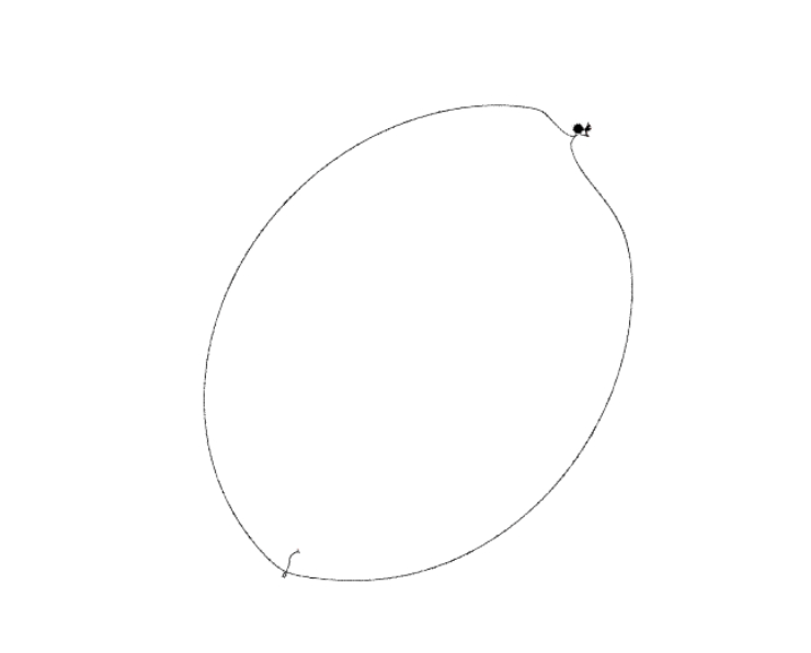 Arbitrum Cluster