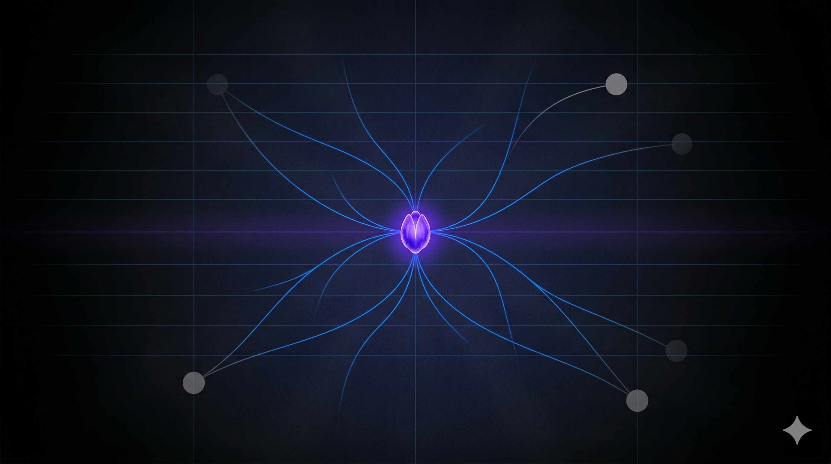 Network Embryonic Hub