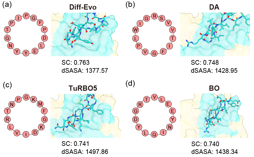 Cyclic Peptide Design