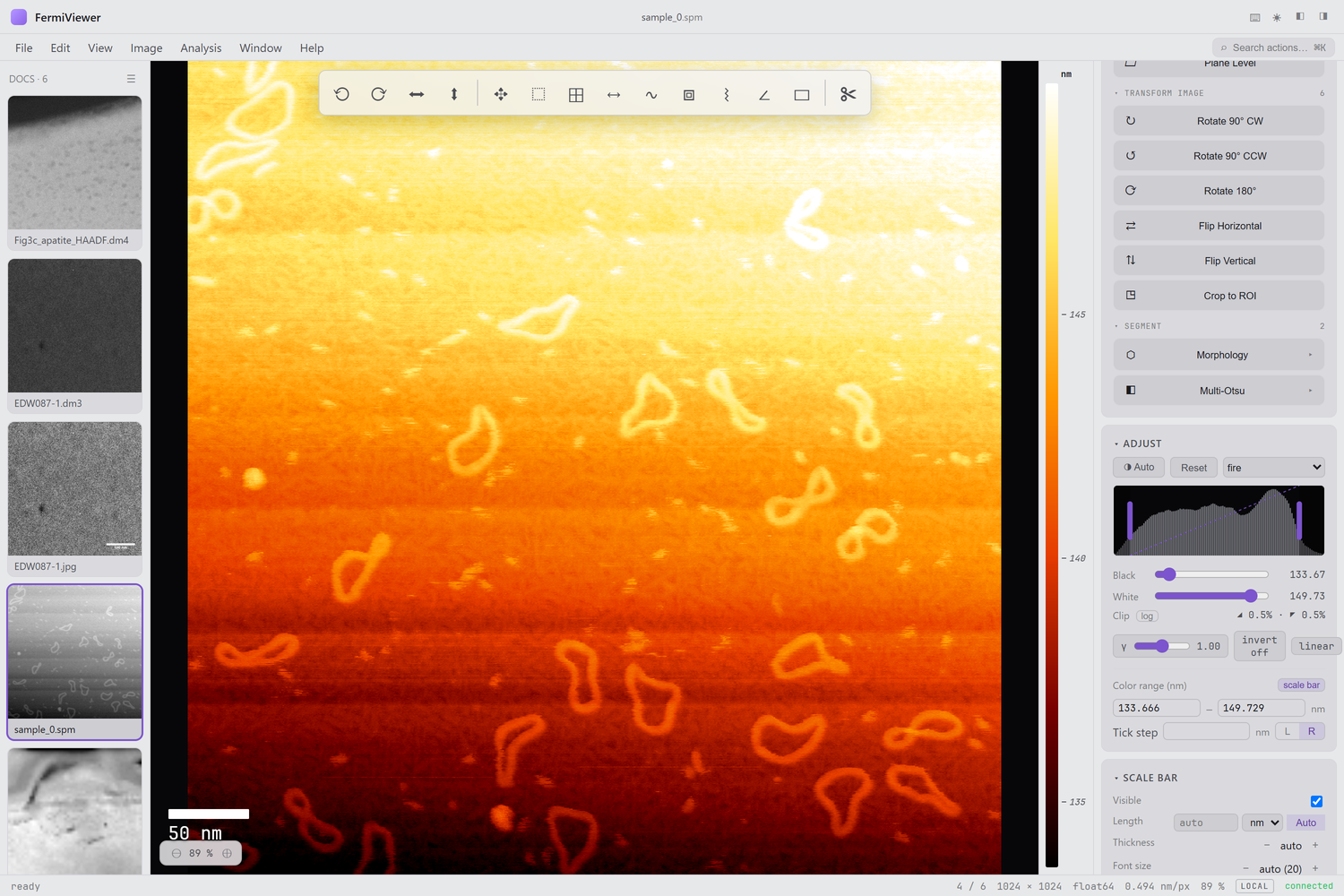 AFM height map with the calibrated Z-scale color bar