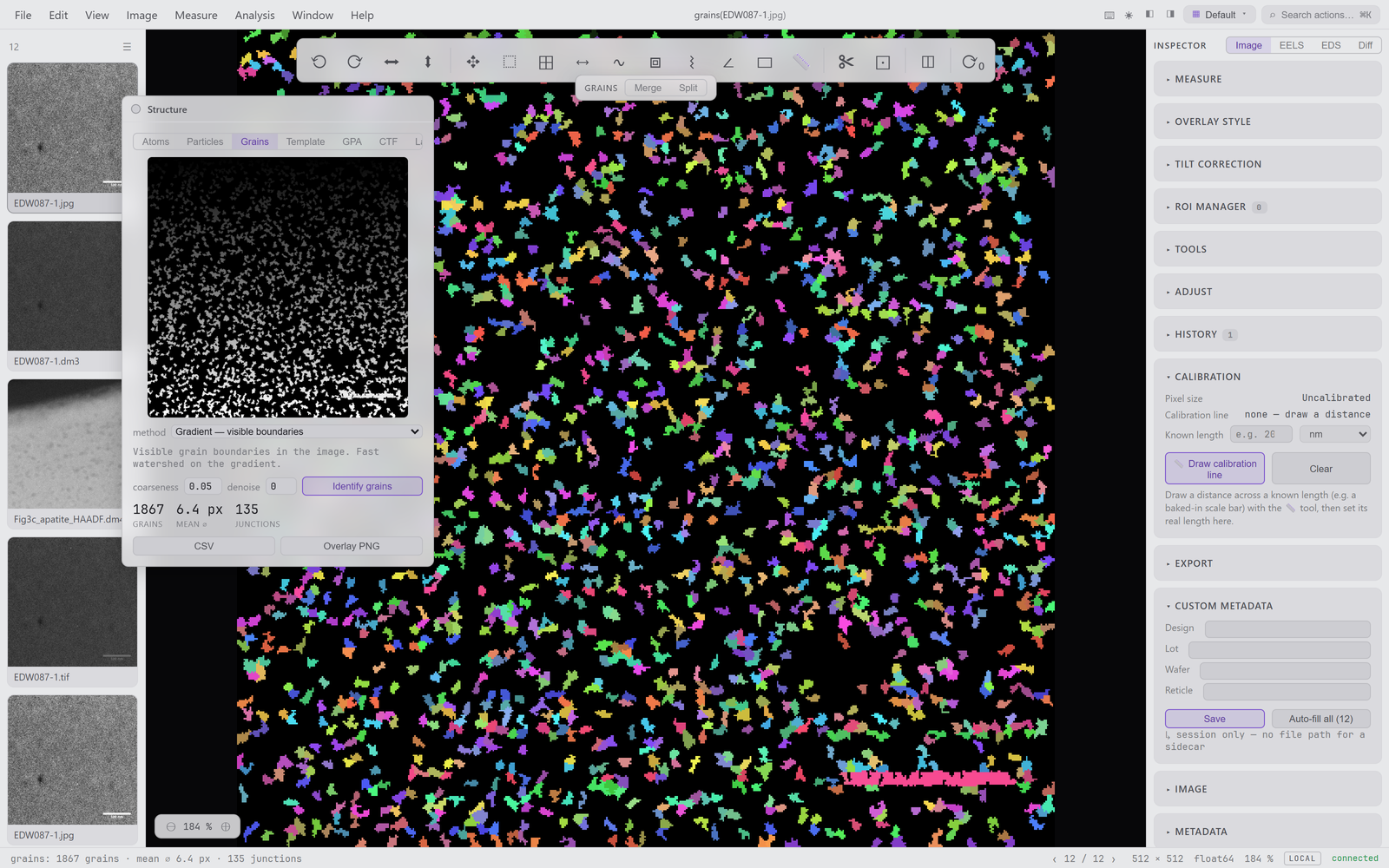 Grain segmentation with metric tiles and the merge/split editor