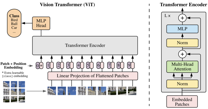 Vision Transformer