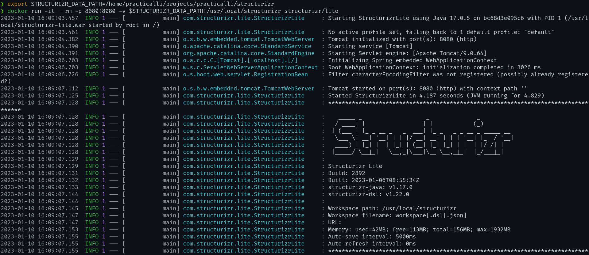Structurizr Docker run output