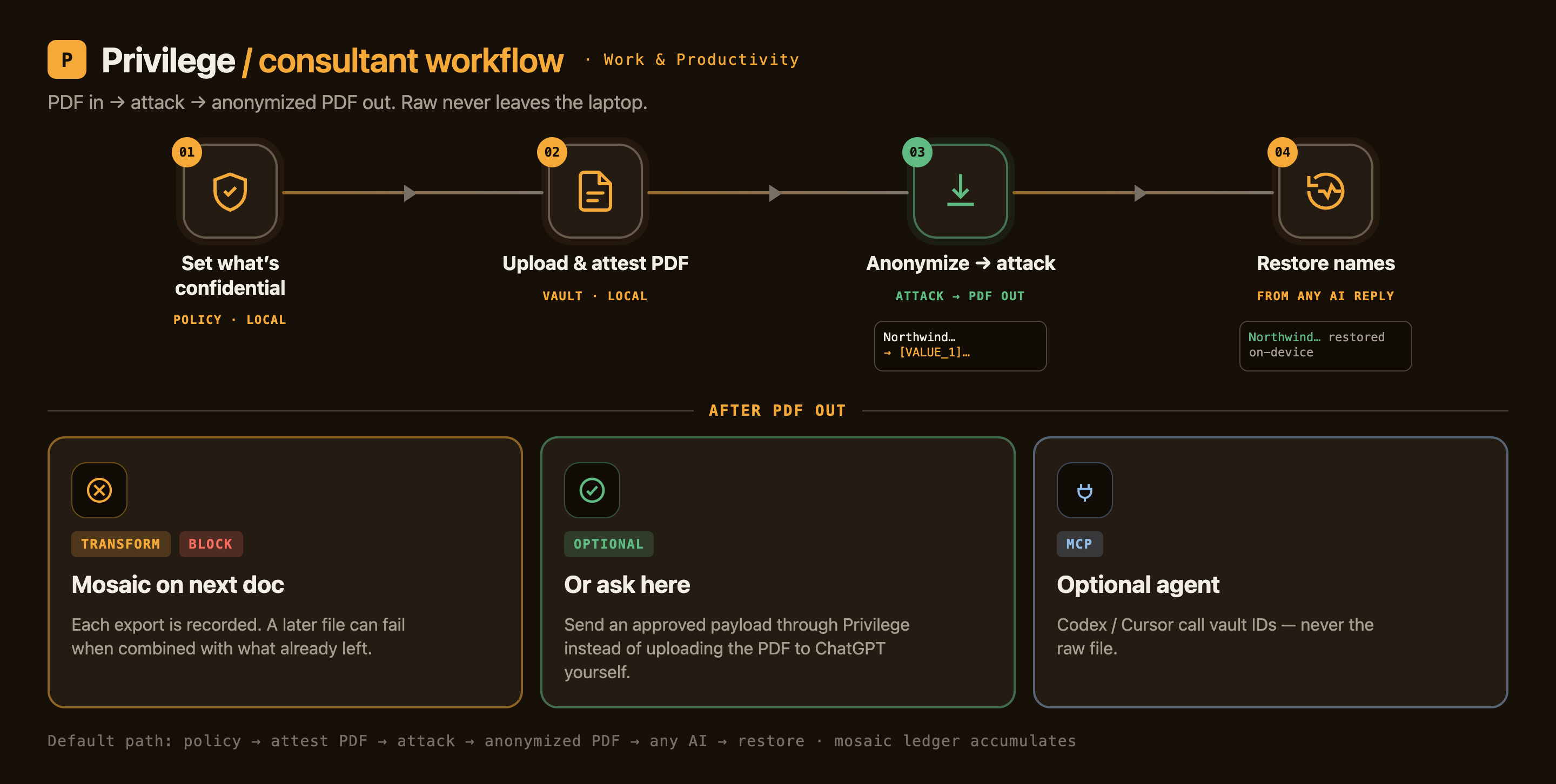 Consultant workflow: PDF in → attest → attack → anonymized PDF out → restore