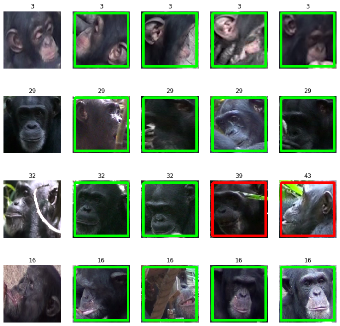 Chimpanzee - Closed Set Re-identification