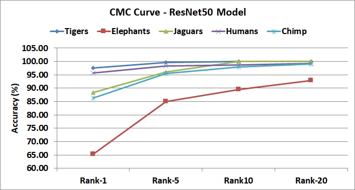 CMC Curve