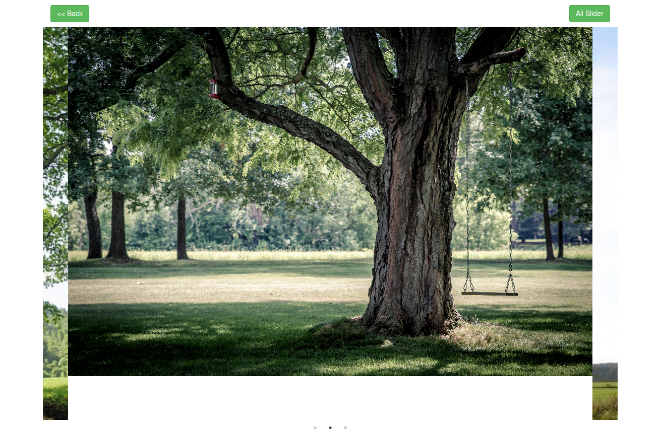 Slider Preview Page Slider Preview Page