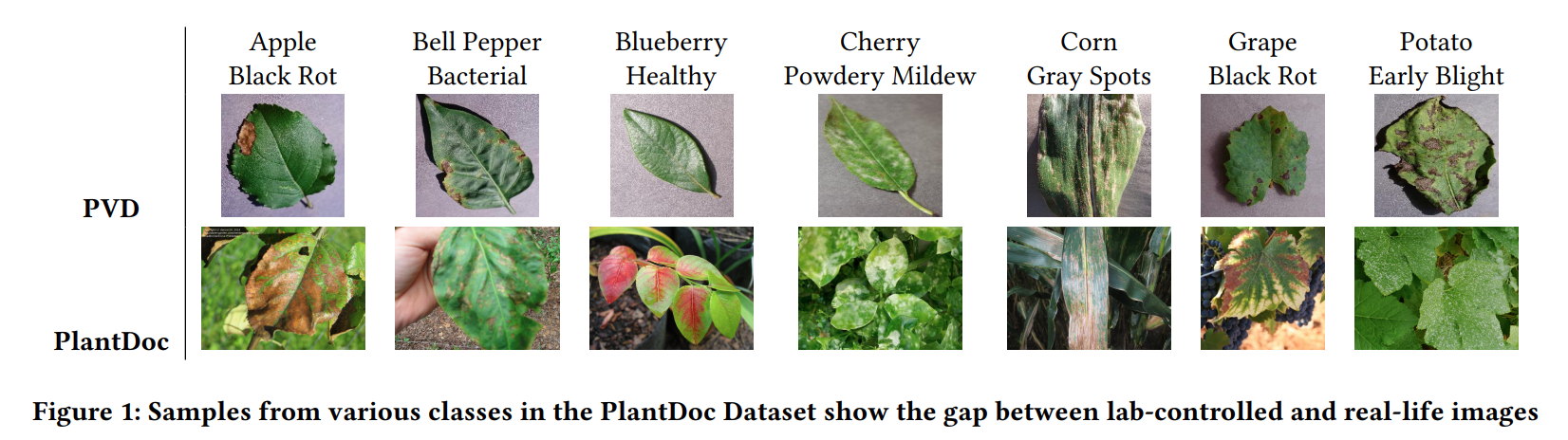 Plantdoc Examples