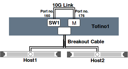 DPTP Topology