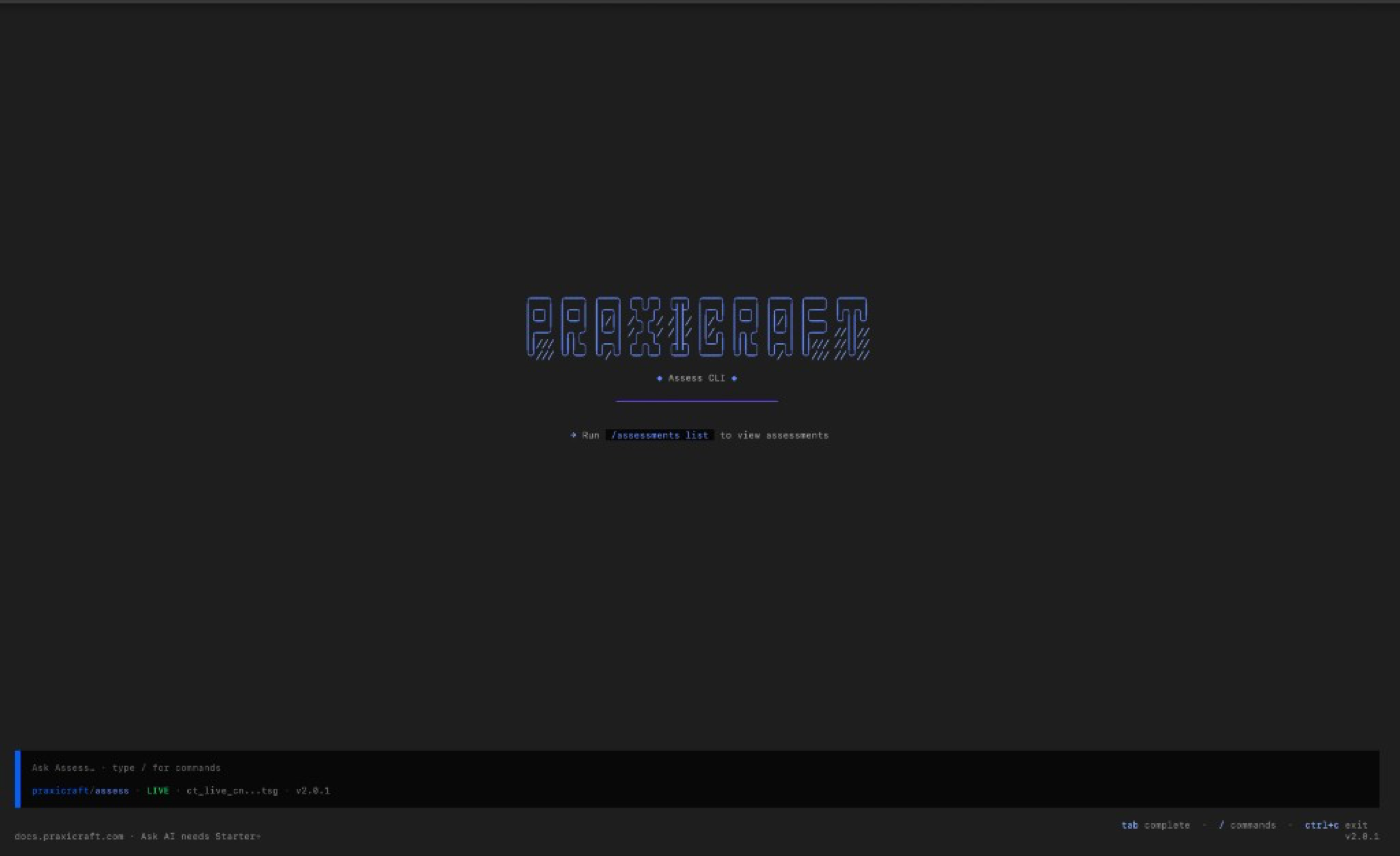 Praxicraft Assess CLI welcome screen