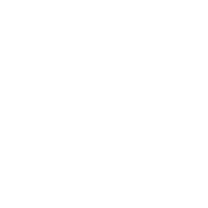 Preloop Logo