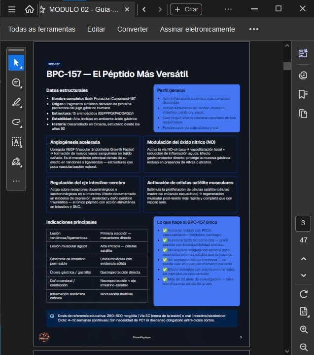 Módulo 2 contenido