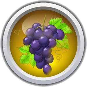 GitHub - prio101/pinot-buttons: Pinot buttons collections