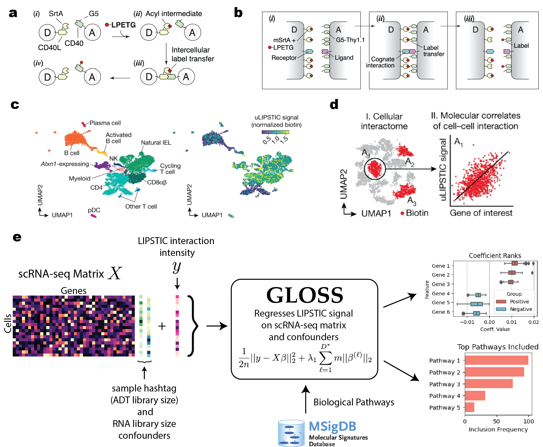 Gloss Diagram