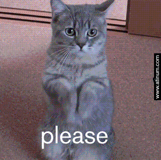 please_cat