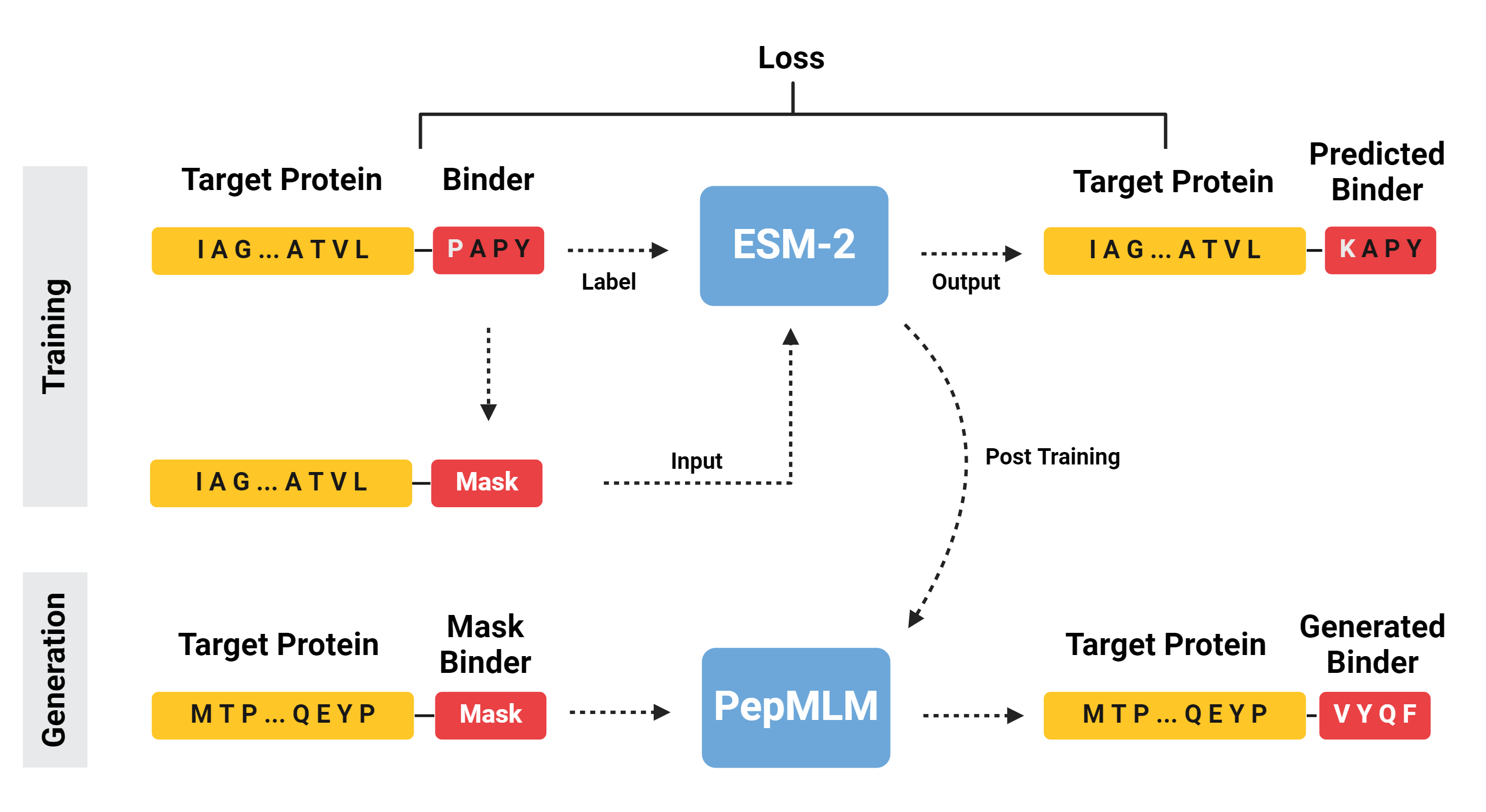 Pepmlm Image