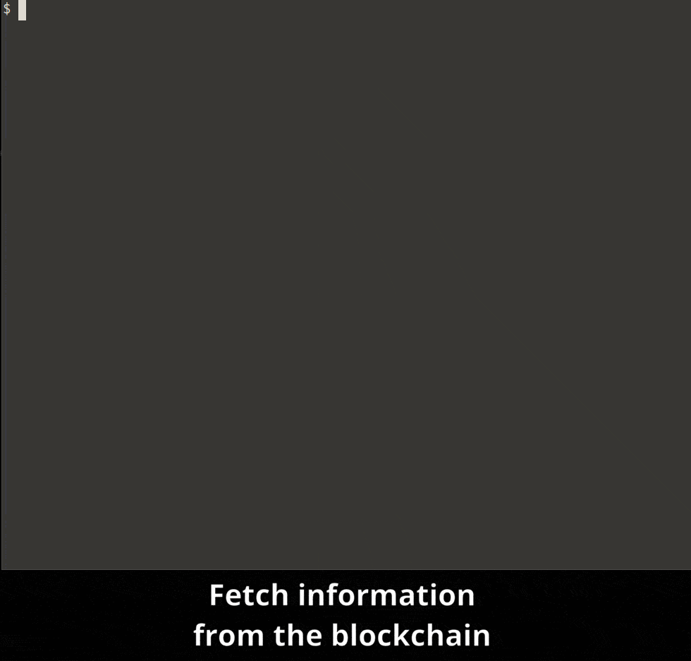 Fetch data from the blockchain