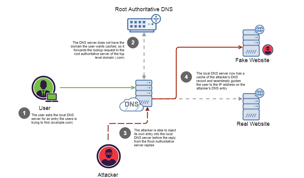 fake_dns