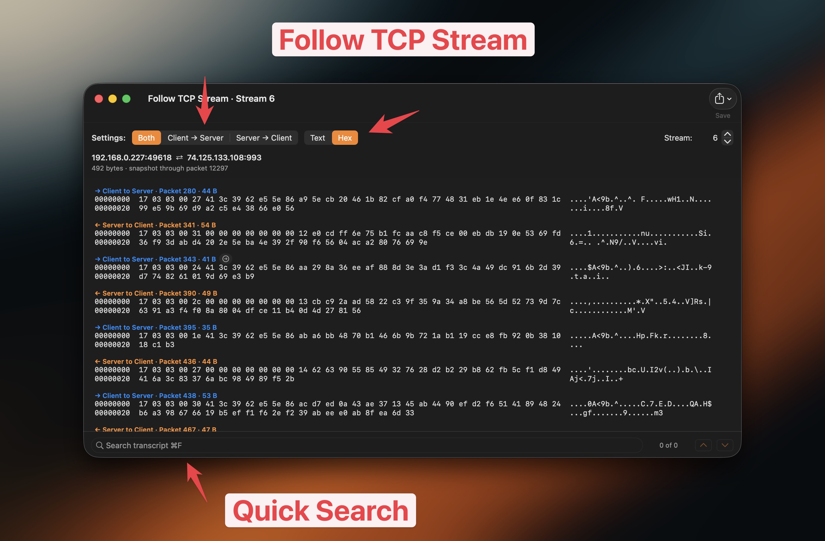 Follow a TCP stream in TCP Viewer