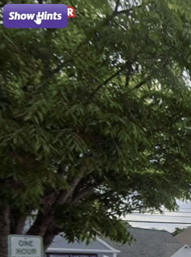 Script functionality