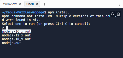 npm not install