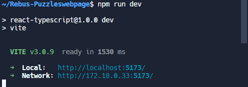 replit npm run dev