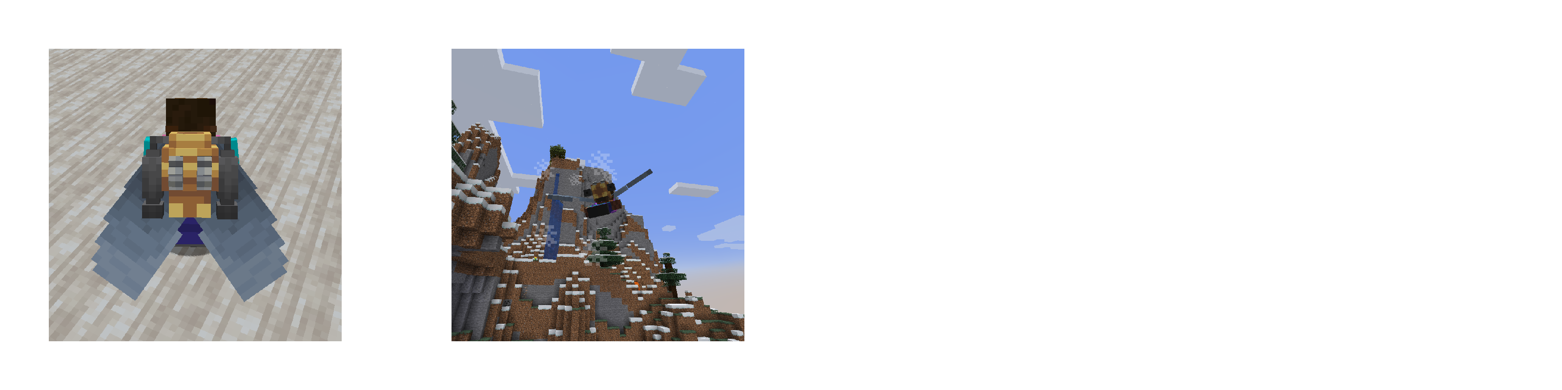 Elytra Support